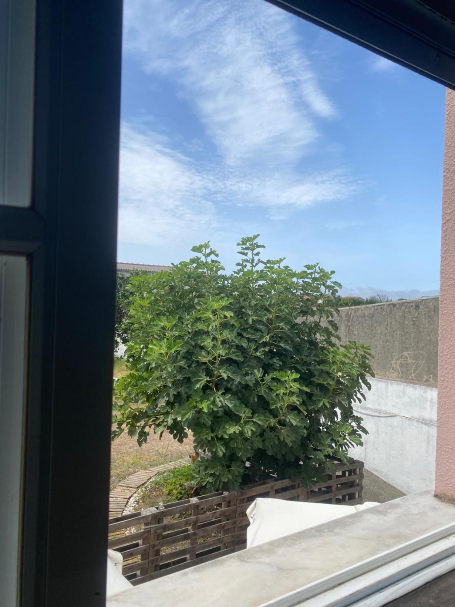Garden Hostel Aradas Екстер'єр фото